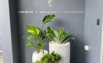 Studio Evolution Fitness