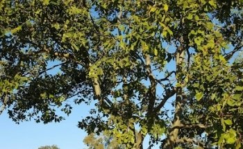 Madabout Fitness Clermont Training Centre