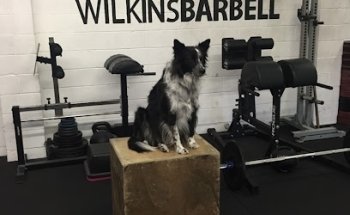 WilkinsBarbell High Intensity Power Training