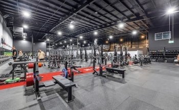 World Gym Palmerston