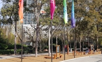 Outdoor gym with pull ups bar