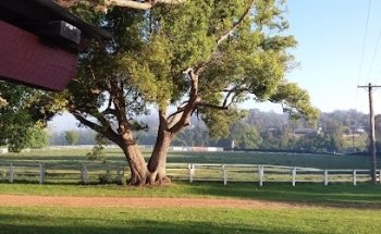 Copmanhurst Sport & Recreation Reserve