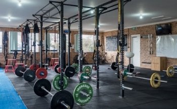 Establish Health & Performance