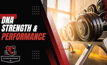 DNA Strength and Performance