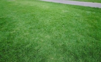 Prince Alfred Park Outdoor Fitness Zone