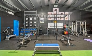Vikara Body Transformations