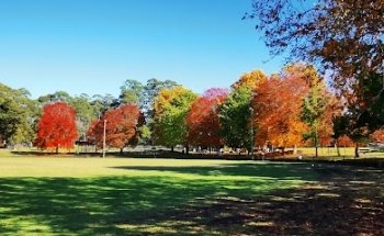 Turramurra Fitness Park