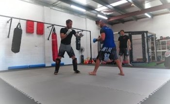 United MMA SA