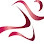 Auburn Physiotherapy