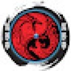 Wu Xing Dao Kung Fu - MMA Central Coast