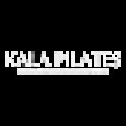 Kala Pilates; Pregnancy & Postpartum Exercise Specialist & Personal Training in Manly, Northern Beaches