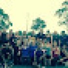 Looking Good and Feeling Great