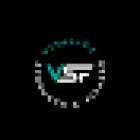 VSF - Vitality Strength and Fitness