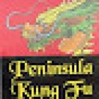 Peninsula Kung Fu The Family Academy Mornington