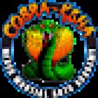 Cobra Martial Arts
