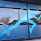 Pivotal Health and Fitness