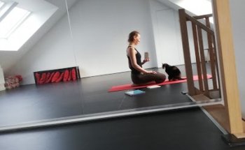 Equilibrium