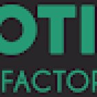 Motion Factory