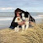 Anne-Sophie Oost : Ostéopathe et Naturopathe canin, félin et équin