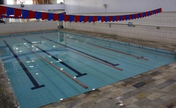 Academia Golfinhos