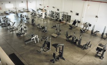 Iron Pro