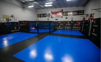 INSIDE HUGO GONÇALVES - Centro de Treinamento de Lutas