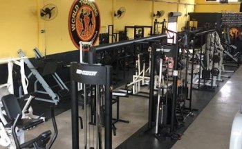 Academia World Trainning