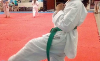 Pro Team Academia de Taekwondo
