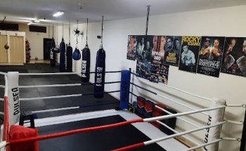 PADOTY-CT( Boxe, Muay Thai e Funcional Fight )