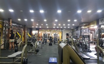 Academia Tribe