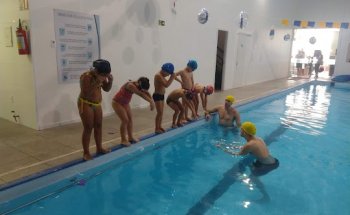 Academia Altavida Ltda