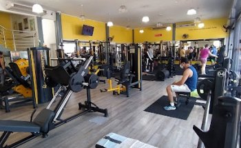 Academia Arion Fit
