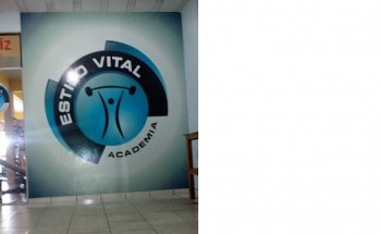 Estilo Vital Academia