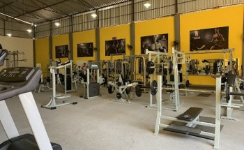 Troya Academia.