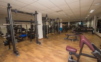 Wolner Fitness