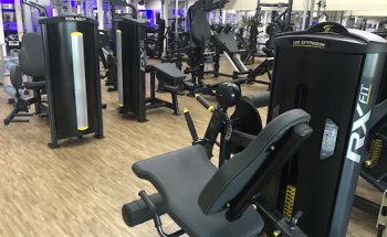 SF Academia