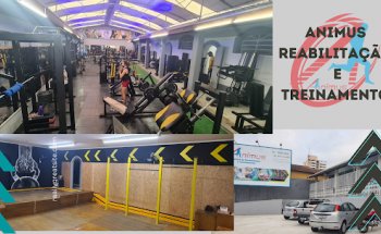 Academia Animus Reabilitação e Treinamento