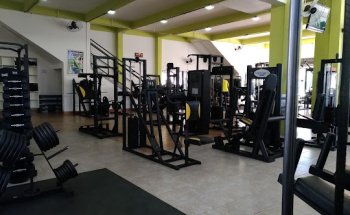 Academia Vitalli