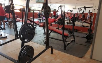 Metabolismo Academia