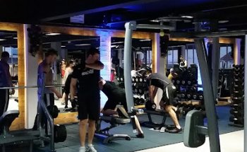 Evolution Fitness
