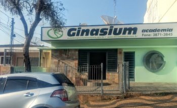 Ginasium Academia
