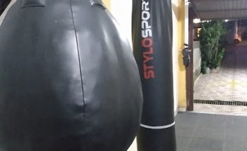CT Estima Boxe
