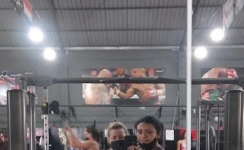 Gaia Team