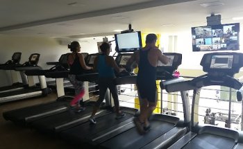 Academia Body Soul