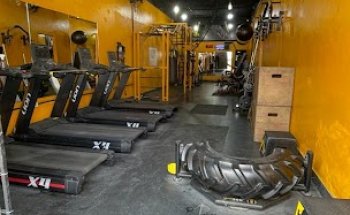 ACADEMIA VM HIIT PERFORMANCE