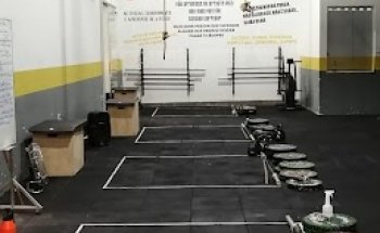 Bravery Lion CrossFit