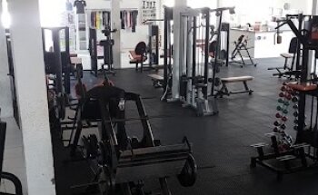Academia Evolution Shape