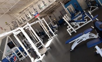 Mx Sports - Academia