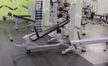 Academia UP Training