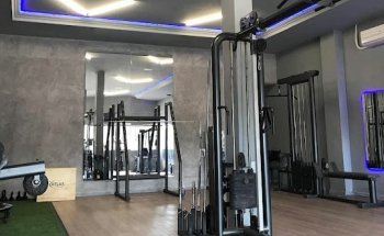 Studio Guest Training